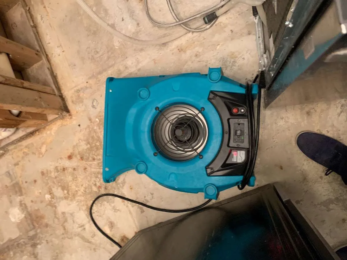 Air mover drying equipment for Mold Remediation & Removal in East Longmeadow