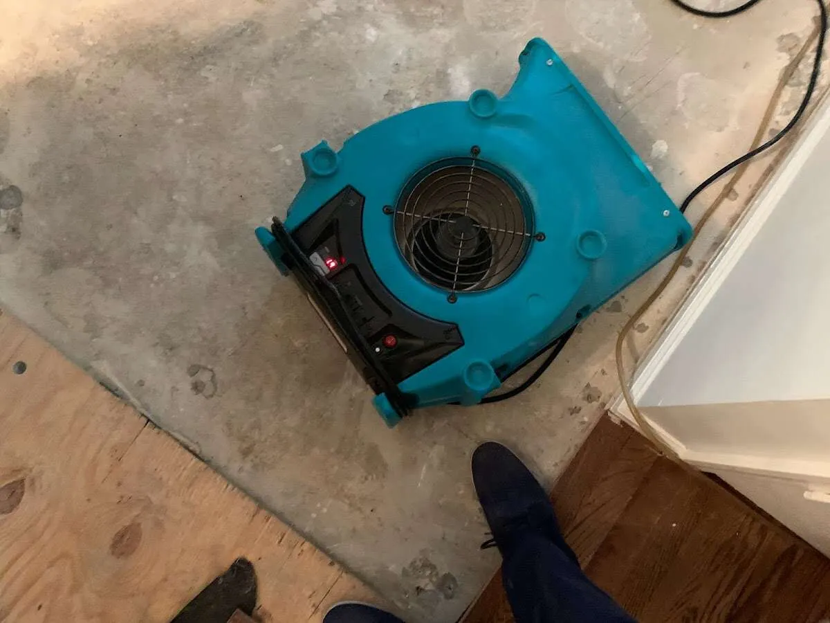 Air mover drying subfloor during Commercial Water Damage Restoration in East Longmeadow
